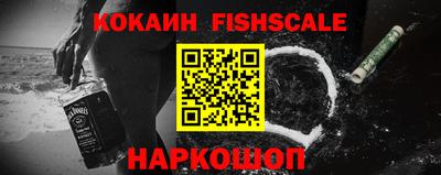 МДПВ Будённовск