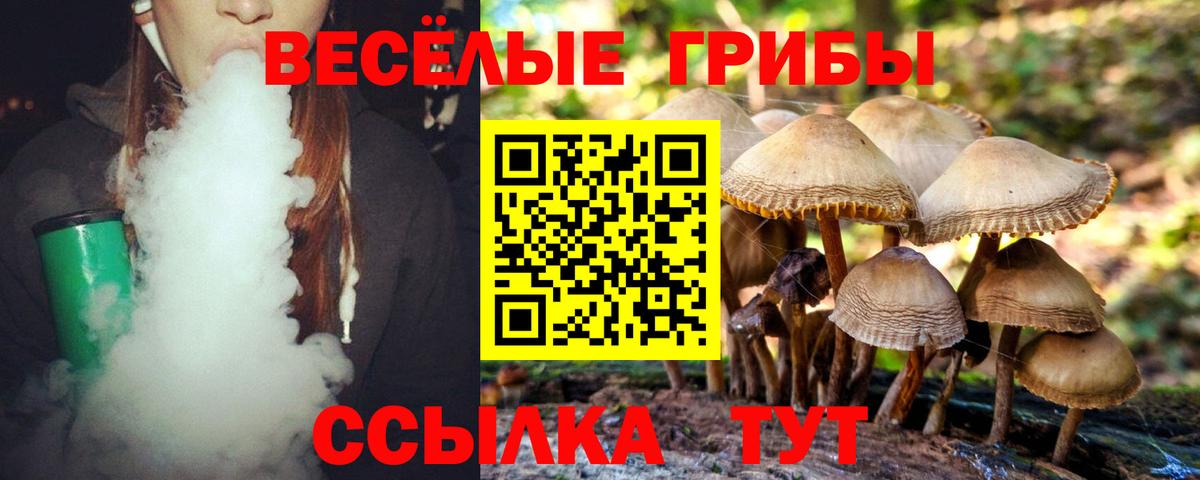 Галлюциногенные грибы прущие грибы Скопин